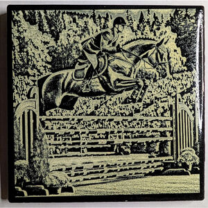 🏇 Equestrian Jumper Competition Coaster 🏆